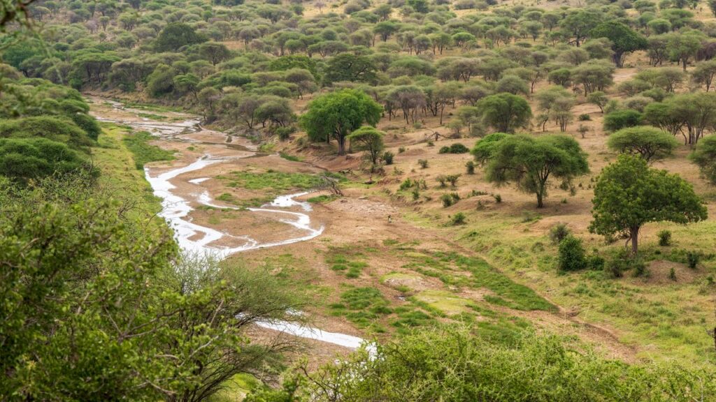 about-img Aerial view capturing a tranquil scene of green plains with sparse trees and a meandering river.